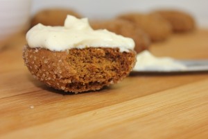 ginger-cookie-bite